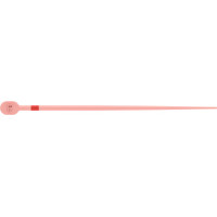 TruNatomy™ Guttaperchaspitzen - Sortiment 60 Guttaperchaspitzen PRIME