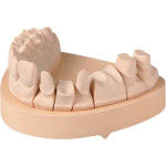 OCTA-STONE - Packung 4 x 5 kg Gips CN, hellbraun