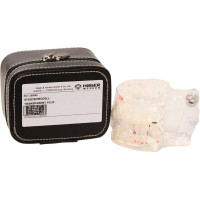 Studienmodell Transparent Plus - 1 db, átlátszó - 355640