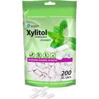 Xylitol - Refill Packung 200 Stück spearmint