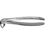 Zahnzangen - Stück Größe 11-33A