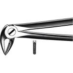 Zahnzangen, 1 darab, UK für Wurzeln