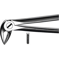 Zahnzangen, 1 darab, UK für Wurzeln