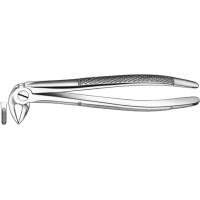 Zahnzangen, 1 darab, UK für Wurzeln