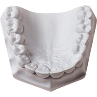 Silky-Rock - Karton 15 kg Superhartgips white