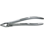 Zahnzangen GatorEX - Stück GX1