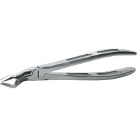 Zahnzangen GatorEX - Stück GX67A