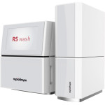 RS wash - Stück - 6536.1