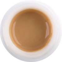 GC Initial IQ ONE SQIN - Dose 4 g Paste lustre body shade B GC Initial IQ ONE SQIN - Dose 4 g Paste lustre body shade B