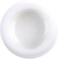 GC Initial IQ ONE SQIN - Dose 12 g Paste lustre body neutral GC Initial IQ ONE SQIN - Dose 12 g Paste lustre body neutral