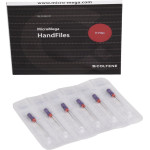 B6 H-Files - Packung 6 Stück 21 mm, ISO 010