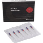 B6 H-Files - Packung 6 Stück 31 mm, ISO 010