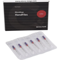 B6 H-Files - Packung 6 Stück 31 mm, ISO 010