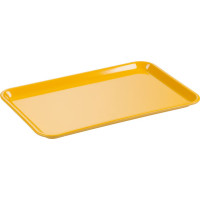 FESTOPAS® Instrumententabletts - Stück dottergelb, 30 x 19 x 1 cm FESTOPAS® Instrumententabletts - Stück dottergelb, 30 x 19 x 1 cm