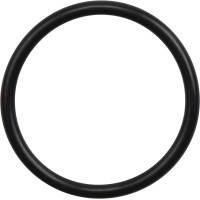 AIR-FLOW handy 3.0 Dichtring - Stück für Kupplung