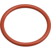 AIR- FLOW Prophylaxis Master Dichtring - Stück für Pulverkammerdeckel
