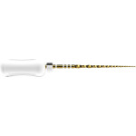 ProTaper Ultimate™ Handfeile - Packung 6 Shaper 31 mm - BSTPULH6310SH