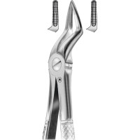 Zahnzangen - Stück HSA 557-51, Englische Form, für obere Wurzeln - HSA 557-51