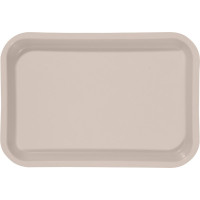 Mini Tray - Stück Mini-Tray beige, 23,8 x 16,2 x 2,2 cm - 20Z101G