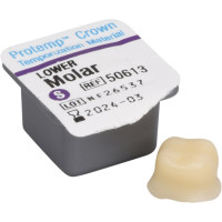 Protemp™ Crown - 5 darabos csomag, unterer Molar S, 1 Stückmesslehre - 50613