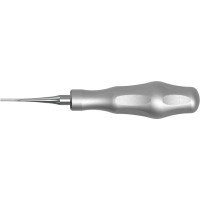 Luxationsinsinstrument LS-Passion - Stück 2 mm, gerade - LSP588/2 Luxationsinsinstrument LS-Passion - Stück 2 mm, gerade - LSP588/2