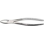 Wurzelzange nach Witzel - Stück ergonomischer Griff - AESEFRW