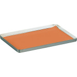 Tray-Filterpapier - Karton 10 x 250 Stück 18 x 28 cm, orange - 5870