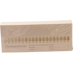 Opalescence Farbschlüssel - Packung 50 Stück - 498