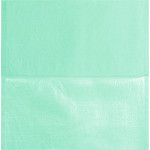 Monoart® Kopfschutztaschen - Spenderbox 250 Stück mintgrün, 33 x 34 cm - 213037