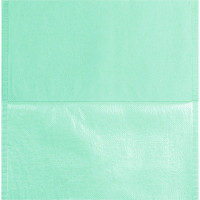 Monoart® Kopfschutztaschen - Spenderbox 250 Stück mintgrün, 33 x 34 cm - 213037