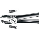 Zahnzangen, 1 darab, OK für Molaren rechts