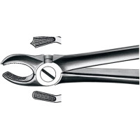 Zahnzangen, 1 darab, OK für Molaren rechts