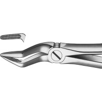 Zahnzangen, 1 darab, OK für Wurzeln