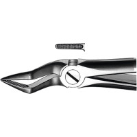 Zahnzangen, 1 darab, OK für Wurzeln