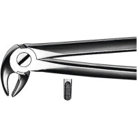 Zahnzangen, 1 darab, UK für Prämolaren, Frontzähne