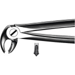 Zahnzangen, 1 darab, UK Molaren beide Seiten