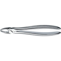 Zahnzangen, 1 darab, OK für Schneidezähne, Eckzähne