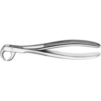 Zahnzangen, 1 darab, Kuhhornzange für Molaren