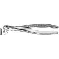 Zahnzangen, 1 darab, UK für Wurzeln