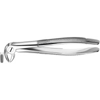 Zahnzangen, 1 darab, UK für Prämolaren, Frontzähne