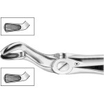 Zahnzangen, 1 darab, HSA 559-67, Figur 67A, für obere Weisheitszähne, beide Seiten