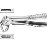 Zahnzangen, 1 darab, HSA 572-13, Figur 13, für untere Prämolaren, beide Seiten