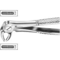 Zahnzangen, 1 darab, HSA 572-13, Figur 13, für untere Prämolaren, beide Seiten