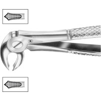 Zahnzangen, 1 darab, HSA 573-22, Figur 22, für untere Molaren, beide Seiten