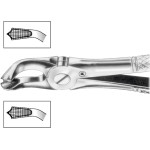 Zahnzangen, 1 darab, HSA 580-79, Figur 79, für untere Weisheitszähne, beide Seiten