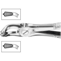 Zahnzangen, 1 darab, HSA 580-79, Figur 79, für untere Weisheitszähne, beide Seiten