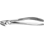 Zahnzangen, 1 darab, OK für Wurzeln