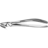 Zahnzangen, 1 darab, OK für Wurzeln