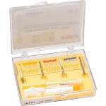 Twin Luscent Anchors® Wurzelstifte - Starter Kit - LUT-K1