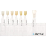 SYNERGY® D6 Shade Guide - 1 db - 8410